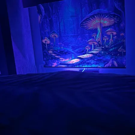 Apartment Orla Plaza *