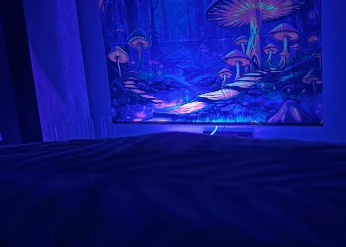 Apartamento Orla Plaza *